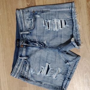 Judy Blue Stretch Shorts
